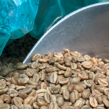 Load image into Gallery viewer, Geisha | Natural | Finca Las Brisas-Colombia | 200g